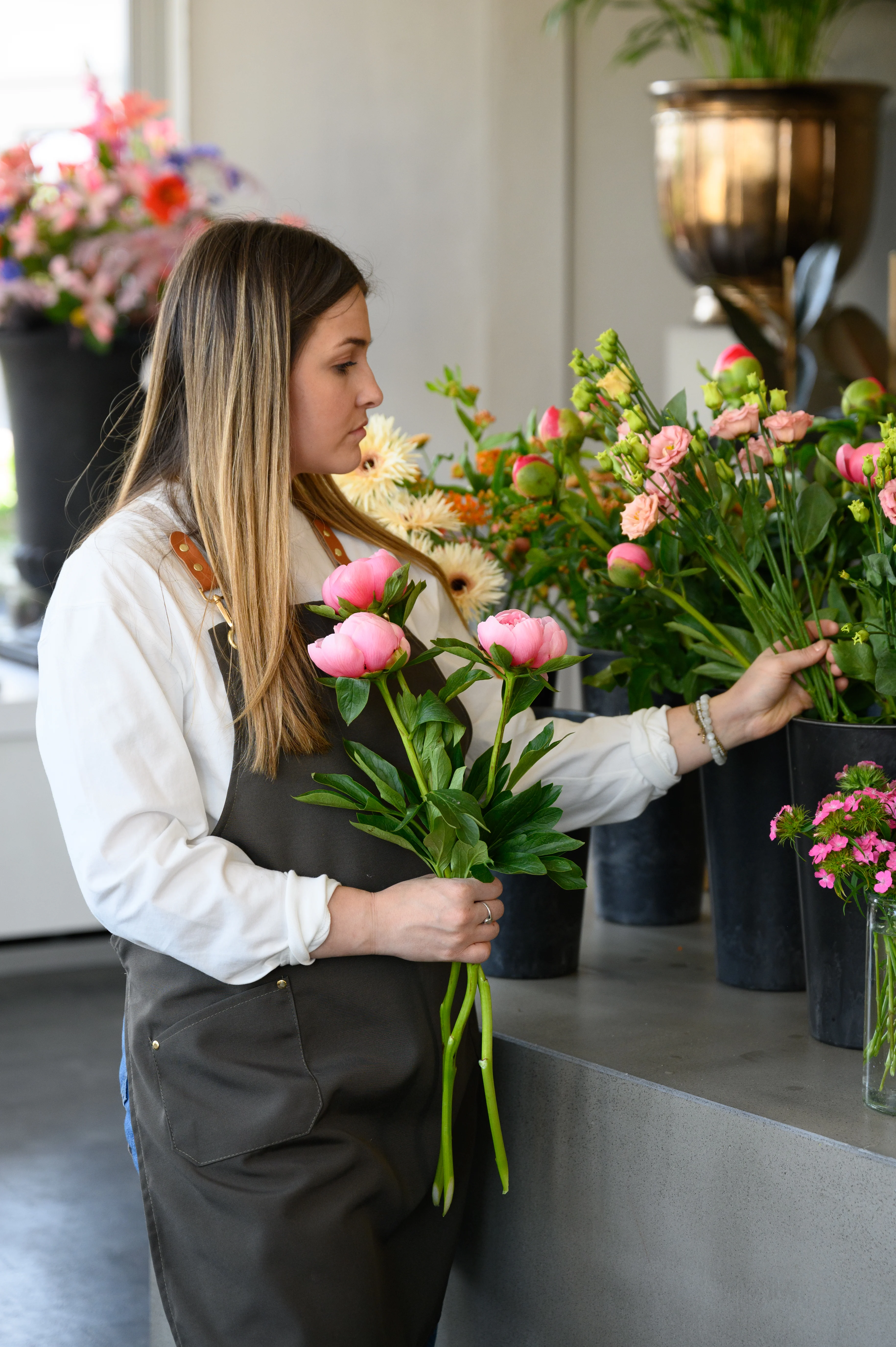 BOTANICAL flowers