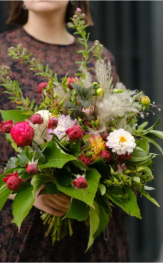BOTANICAL flowers